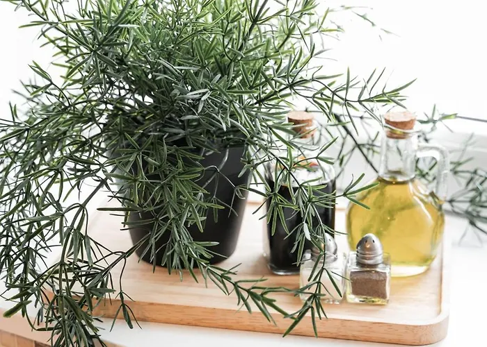 Harmonee - Retreat Apartment *